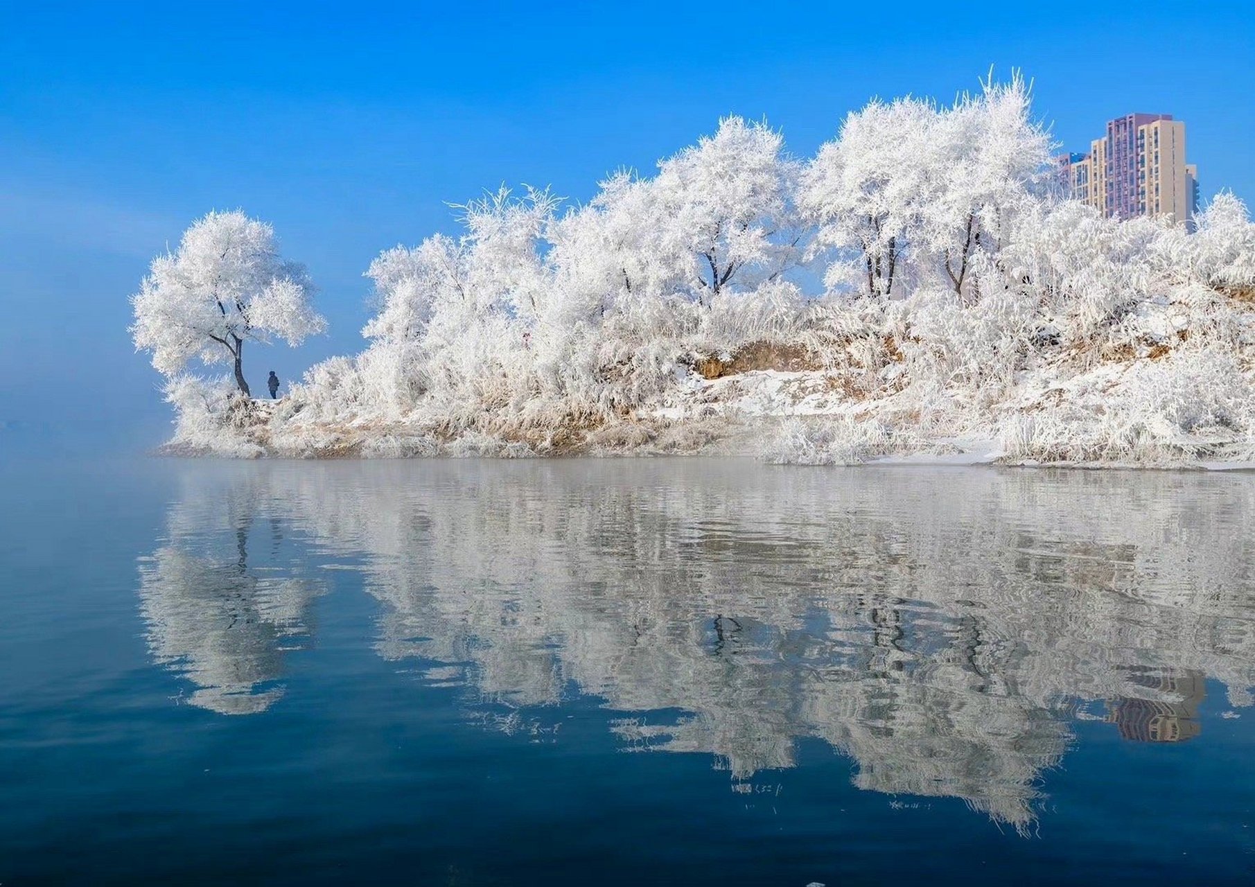 吉林，转型之路，希望与挑战并存