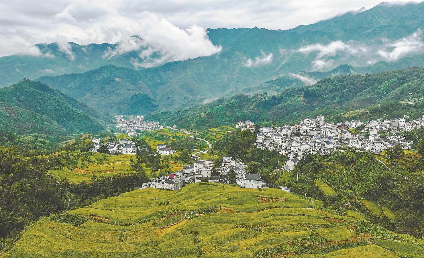 安徽小巷深处的独特风情