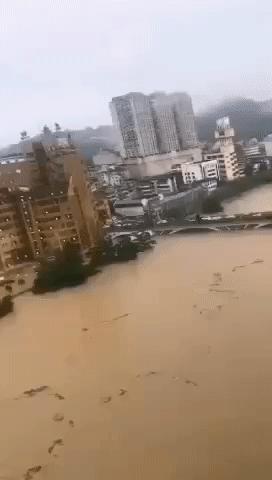 湖北，嘉宾云集，观众热情洋溢